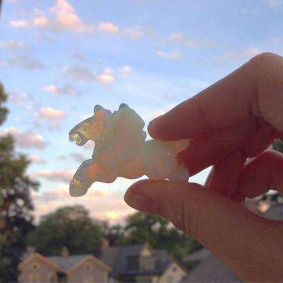 b体育官方app下载手机app下载截图