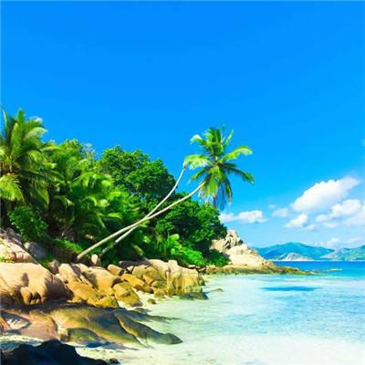 IM体育官网登录入口